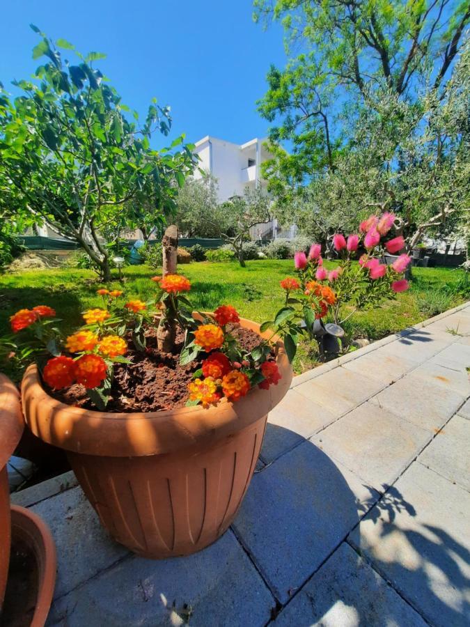Apartment Noa'S Garden Bibinje Ngoại thất bức ảnh
